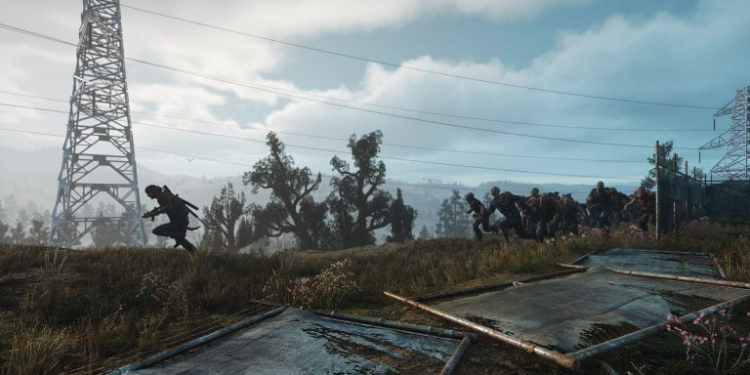 Days Gone