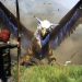 بازی Dragon's Dogma 2