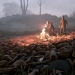 دنباله‌ی بازی A Plague Tale