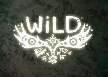 بازی فانتزی - Wild
