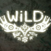 بازی فانتزی - Wild
