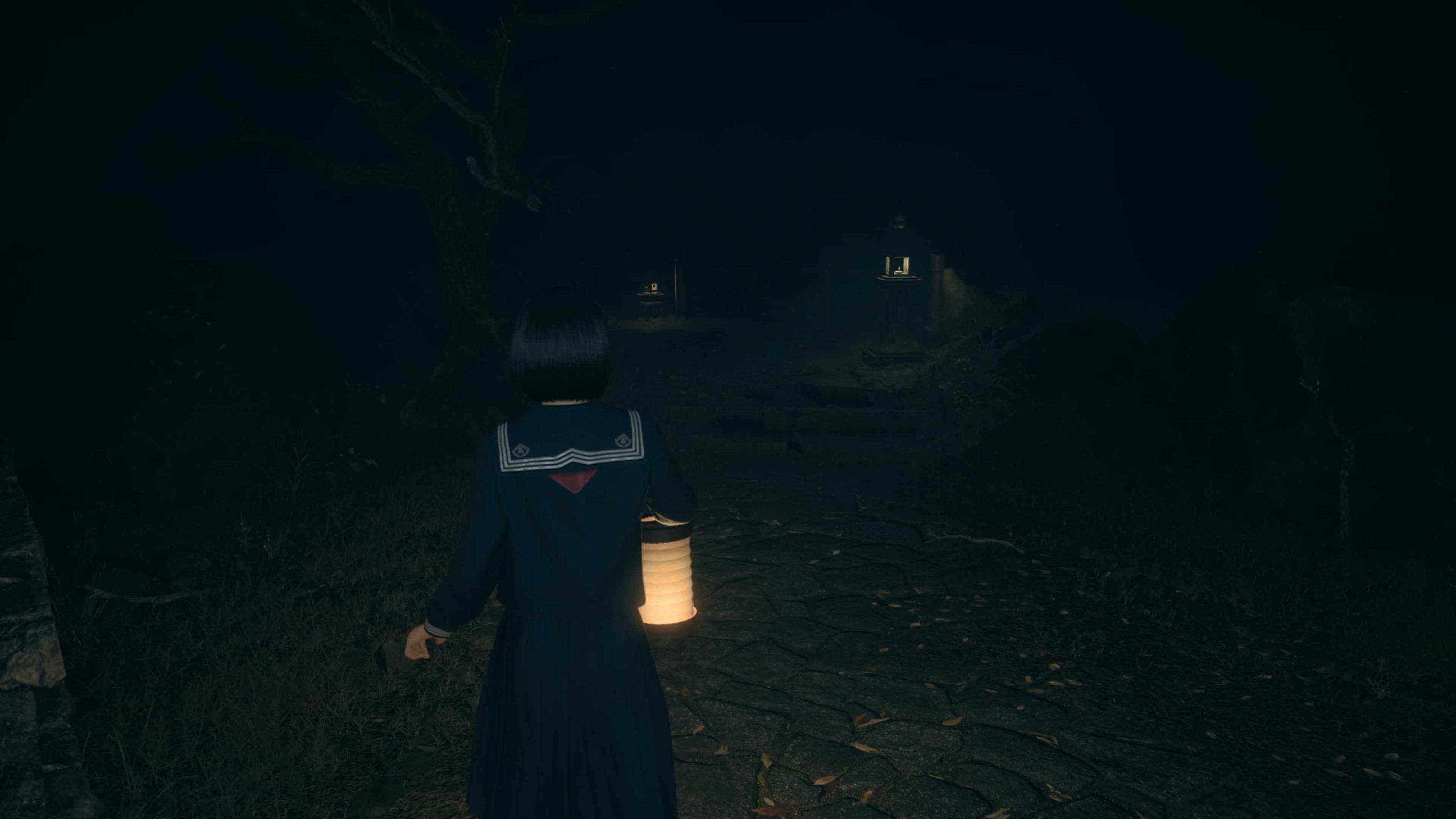 لحظهای از نور و سایه در محیط داخلی که تضاد زنده و مرده را نشان میدهد.