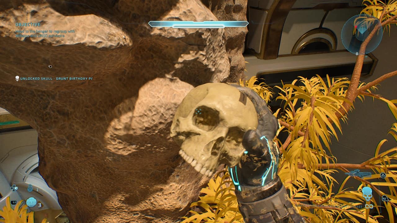 اسکال های بازی Halo Campaign Evolved