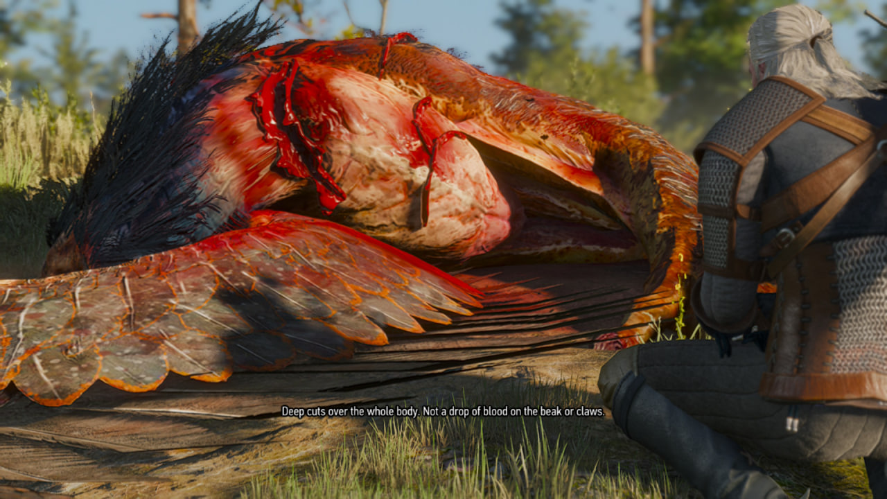 بررسی The Witcher 3: Wild Hunt Remastered